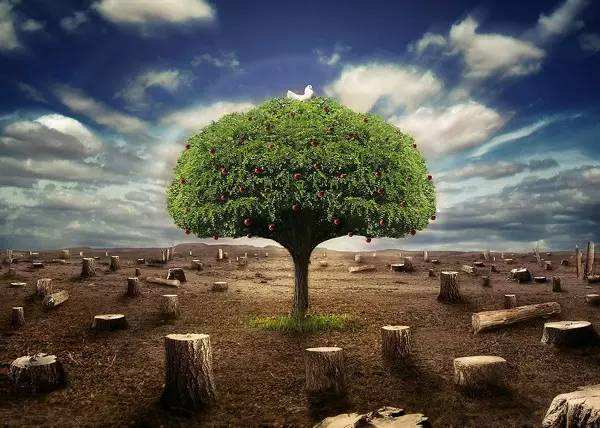 銷售經理（環境檢測）