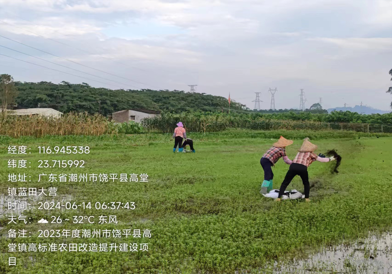 農業技術服務之地力提升服務